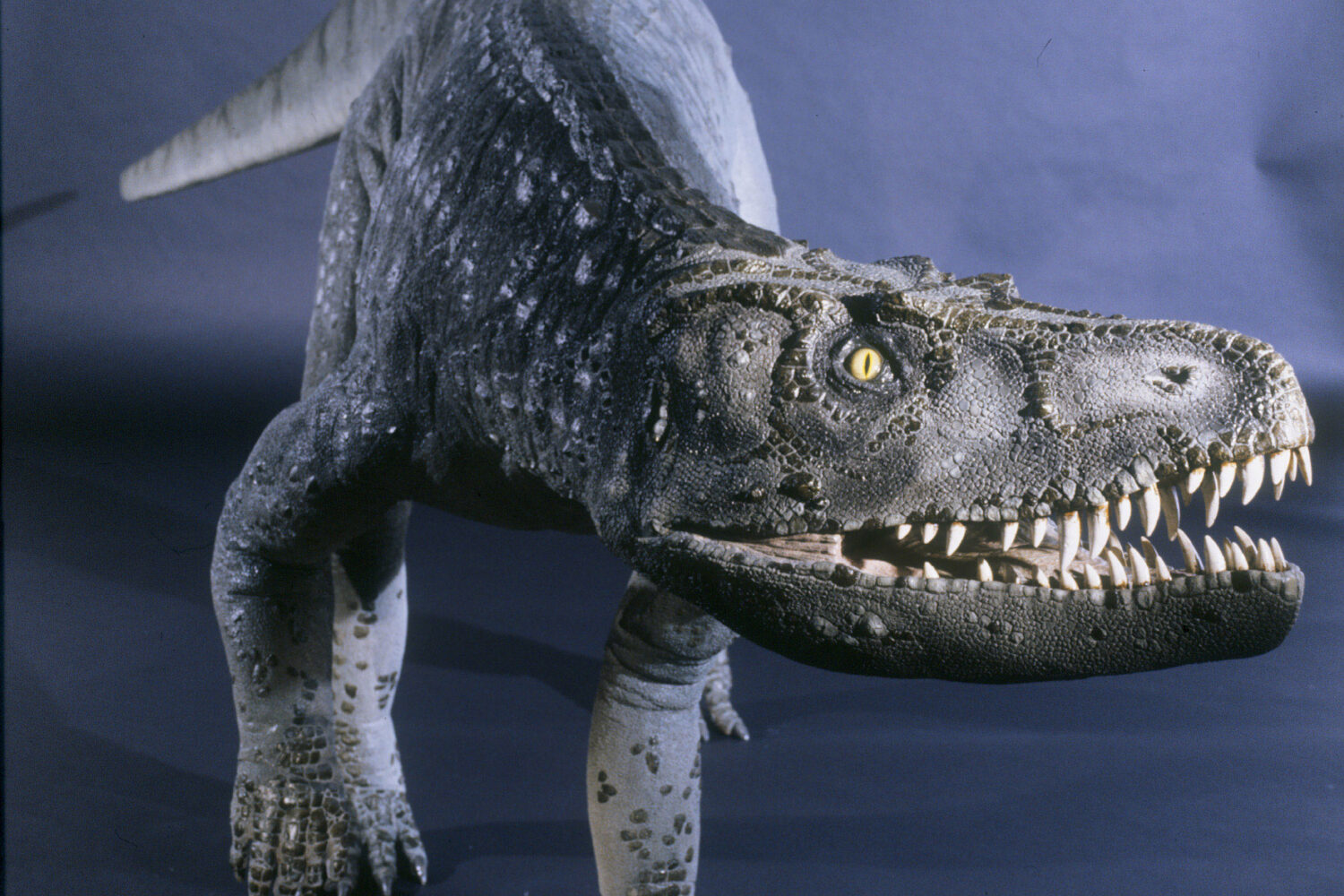 Der Saurier Batrachotomus war der Spitzenräuber seines Ökosystems