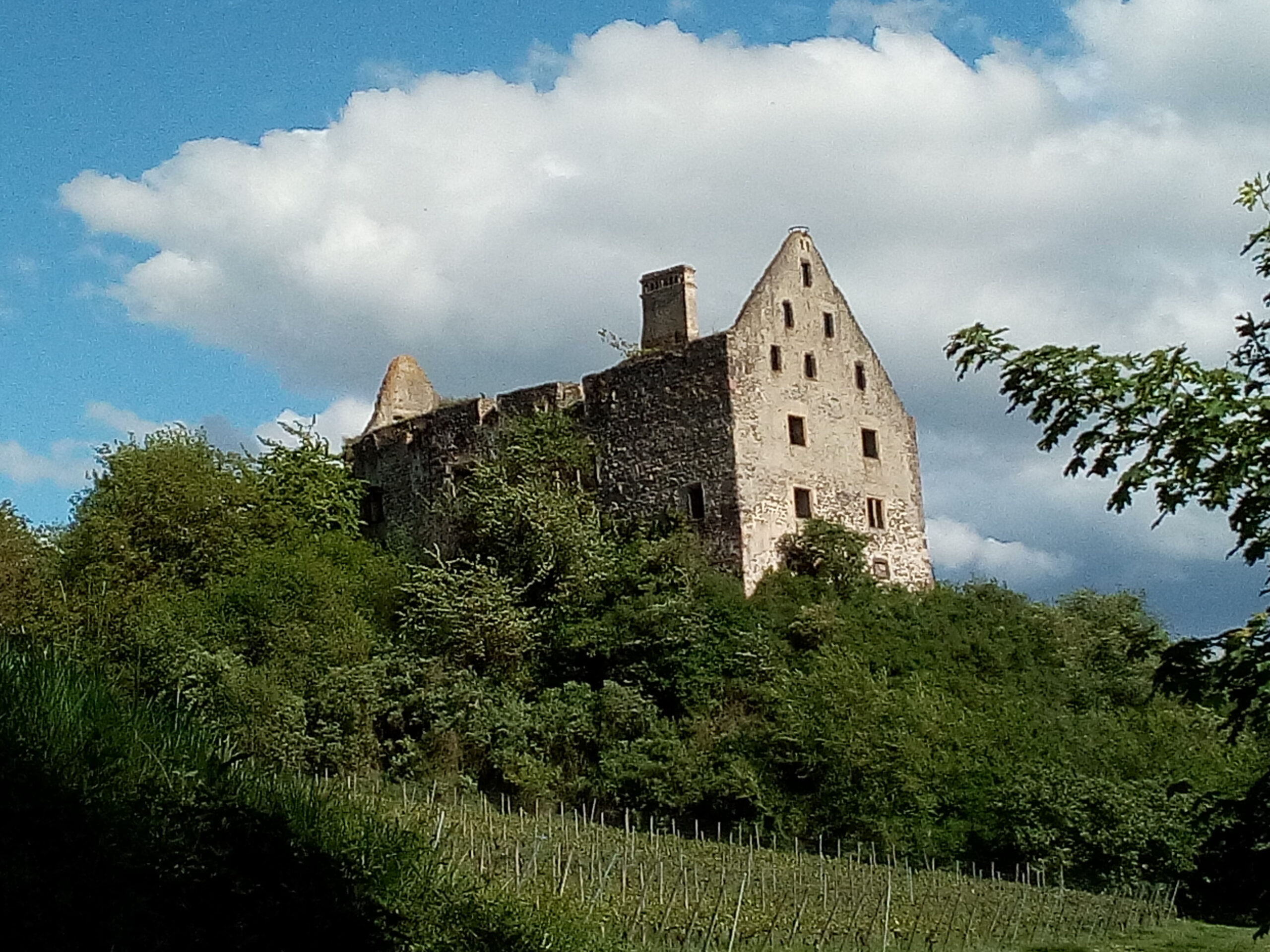 Lazarus von Schwendi Ansehen durch militärischen Erfolg und Diplomatie