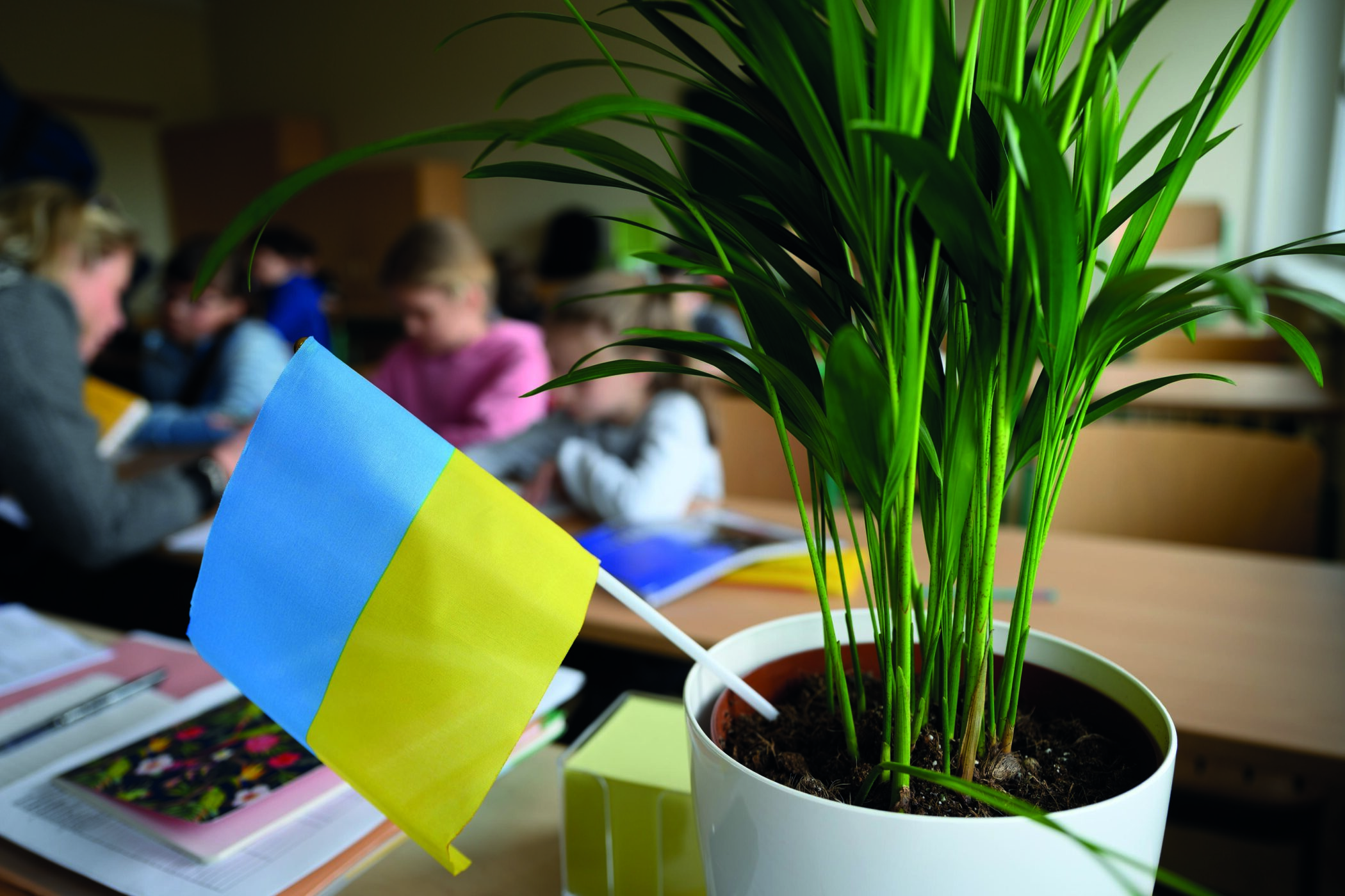 Kleine Ukraineflagge in einer Pflanze eines Klassenzimmers