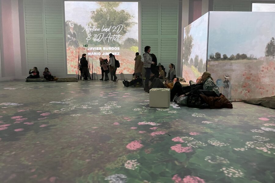 Immersives Filmerlebnis bei der Multimedia-Kunst-Show "Monets Garten" in der Schleyerhalle