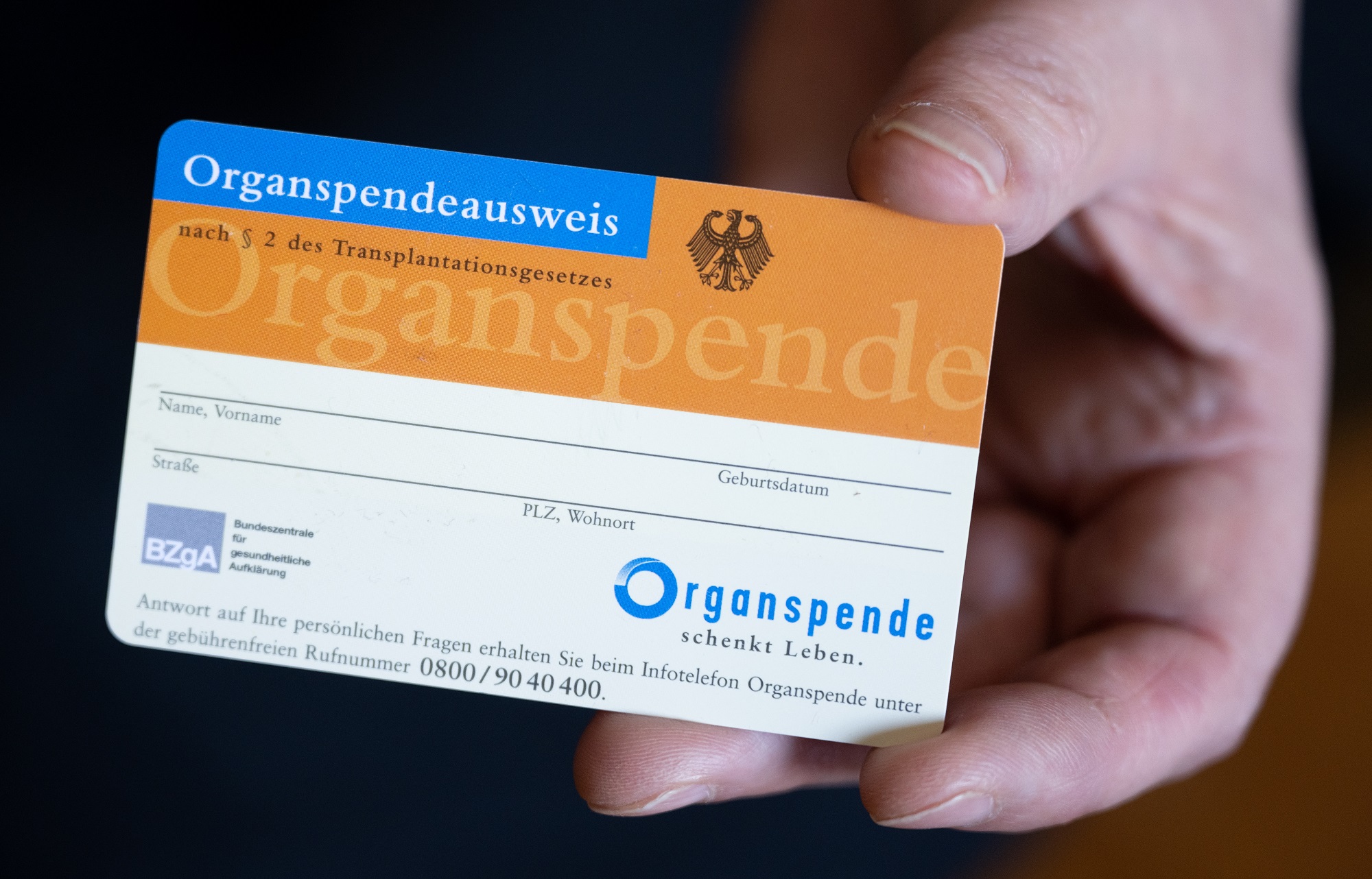 Eine Frau hält einen Organspendeausweis in ihren Händen