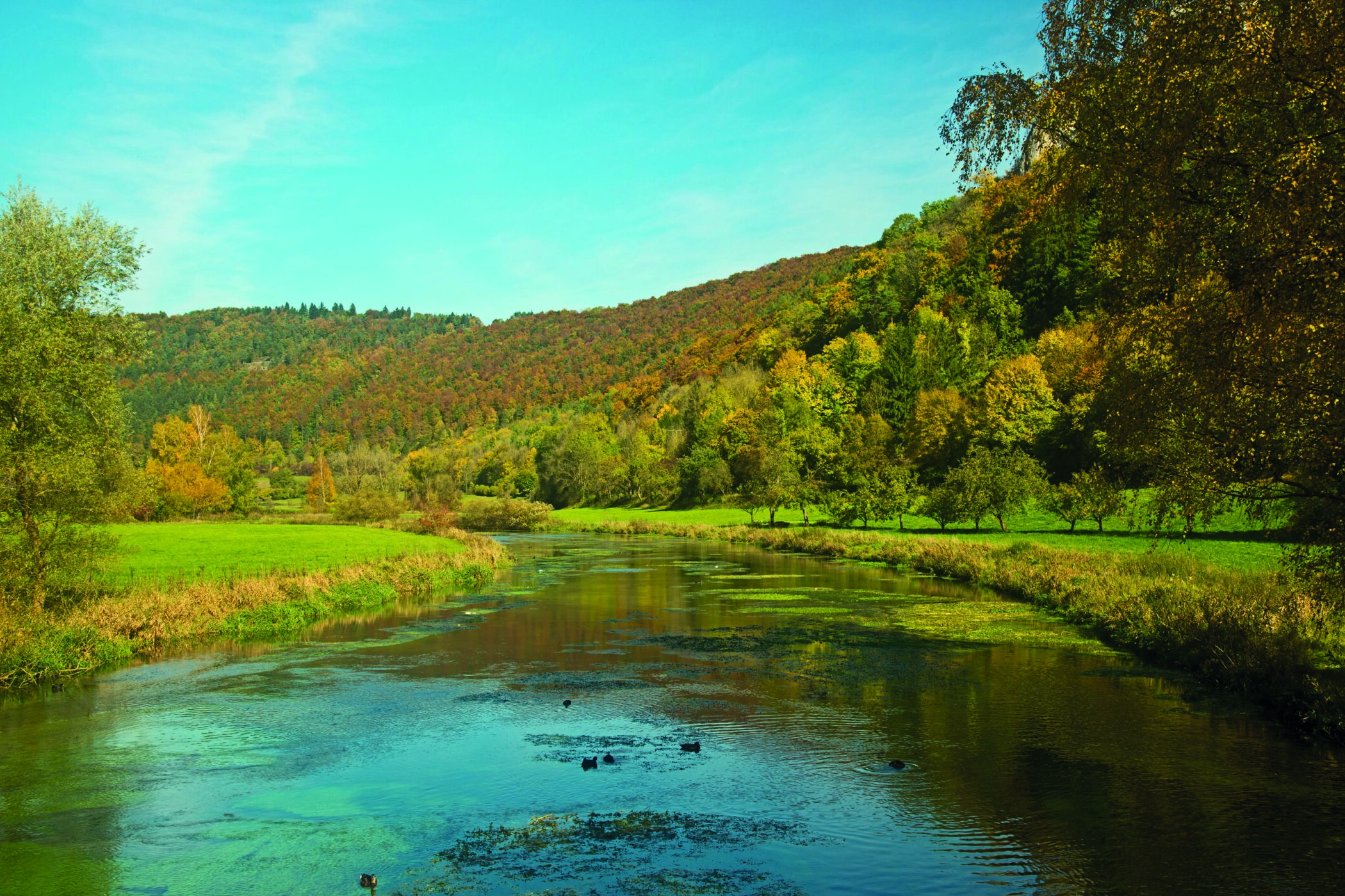 Die Blau im Blautal, ein 14,5 km langer, linker Nebenfluss der Donau von Blaubeuren nach Ulm, Alb-Donau-Kreis, Baden-Württemberg, Deutschland, Europa