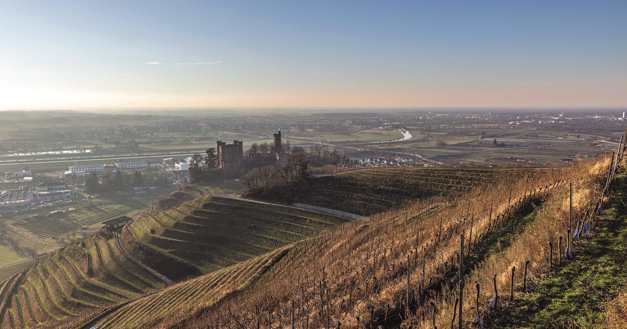 Das Schloss Ortenberg steht inmitten von Weinreben während im Hintergrund die Stadt Offenburg und die Ortenau zu sehen sind