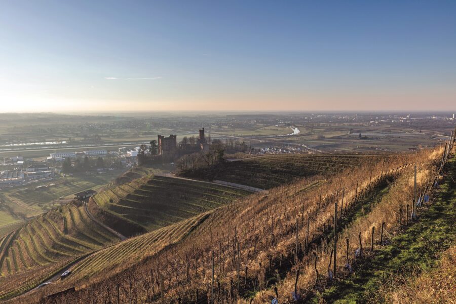 Das Schloss Ortenberg steht inmitten von Weinreben während im Hintergrund die Stadt Offenburg und die Ortenau zu sehen sind
