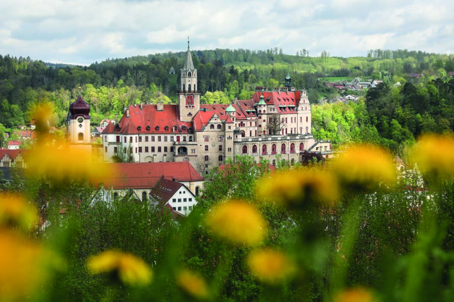 Blick durch eine Wiese mit blühendem Löwenzahn auf das Schloss Sigmaringen, auch Hohenzollernschloss genannt.