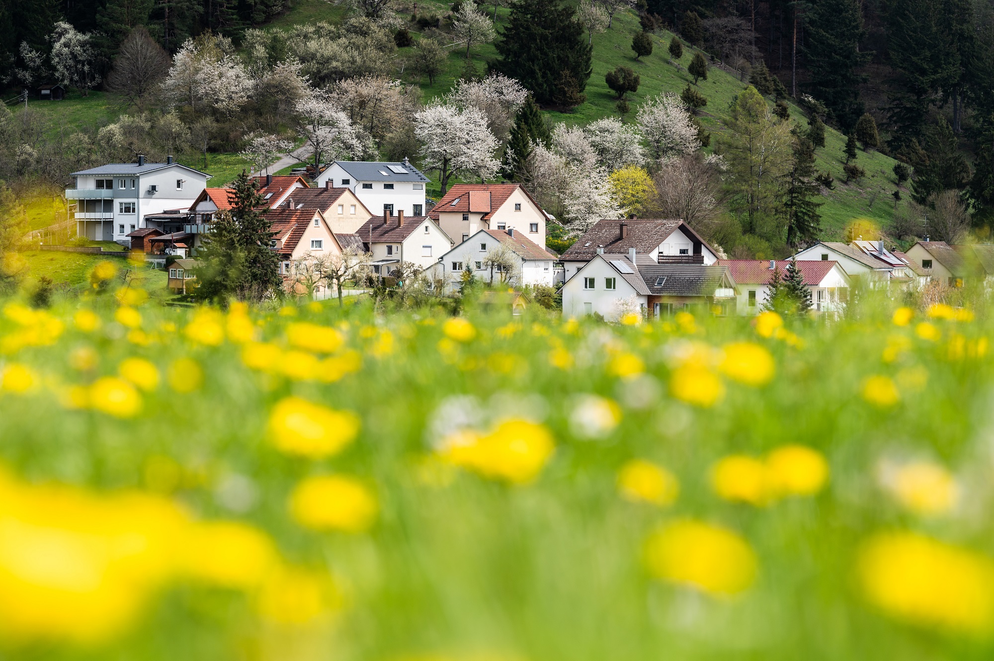 Wohnhäuser sind bei Sonnenschein in einem Wohngebiet nahe Rottweil zu sehen.