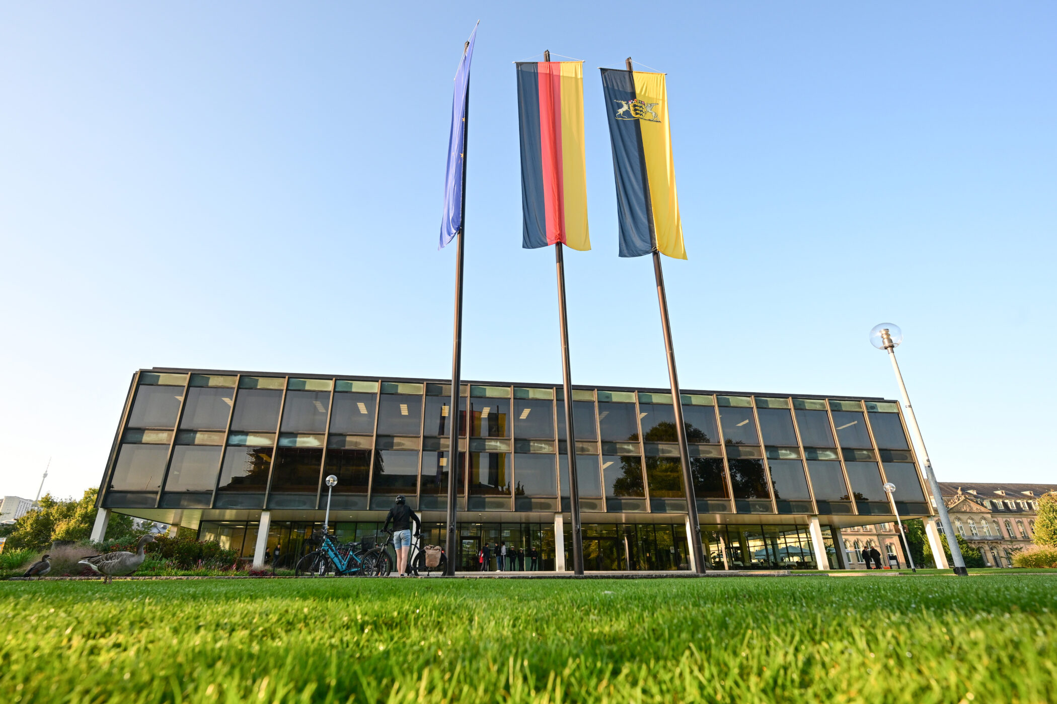 AfD scheitert mit Vorstoß zur Beflaggung von öffentlichen Gebäuden des  Landes