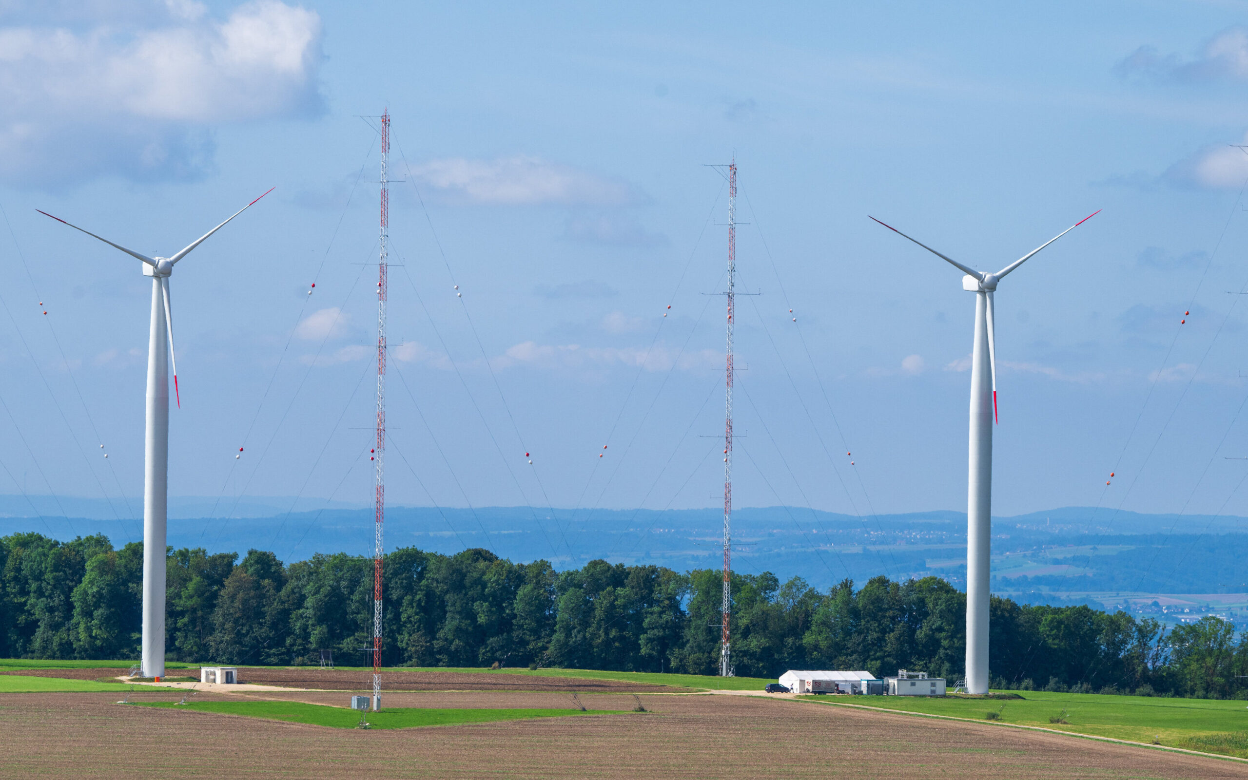 Projekt soll Vögel schützen und Betreibern von Windrädern helfen