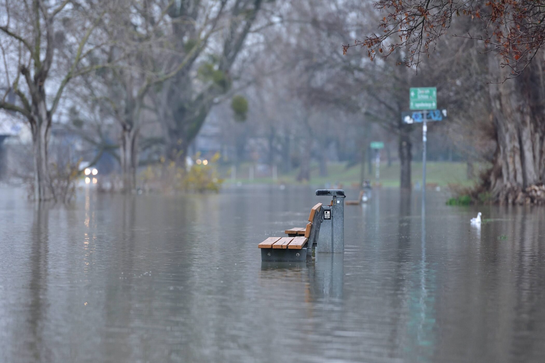 Überflutete Parkbank und Bäume, Wasser bedeckt den Boden, unscharfe Autoscheinwerfer.
