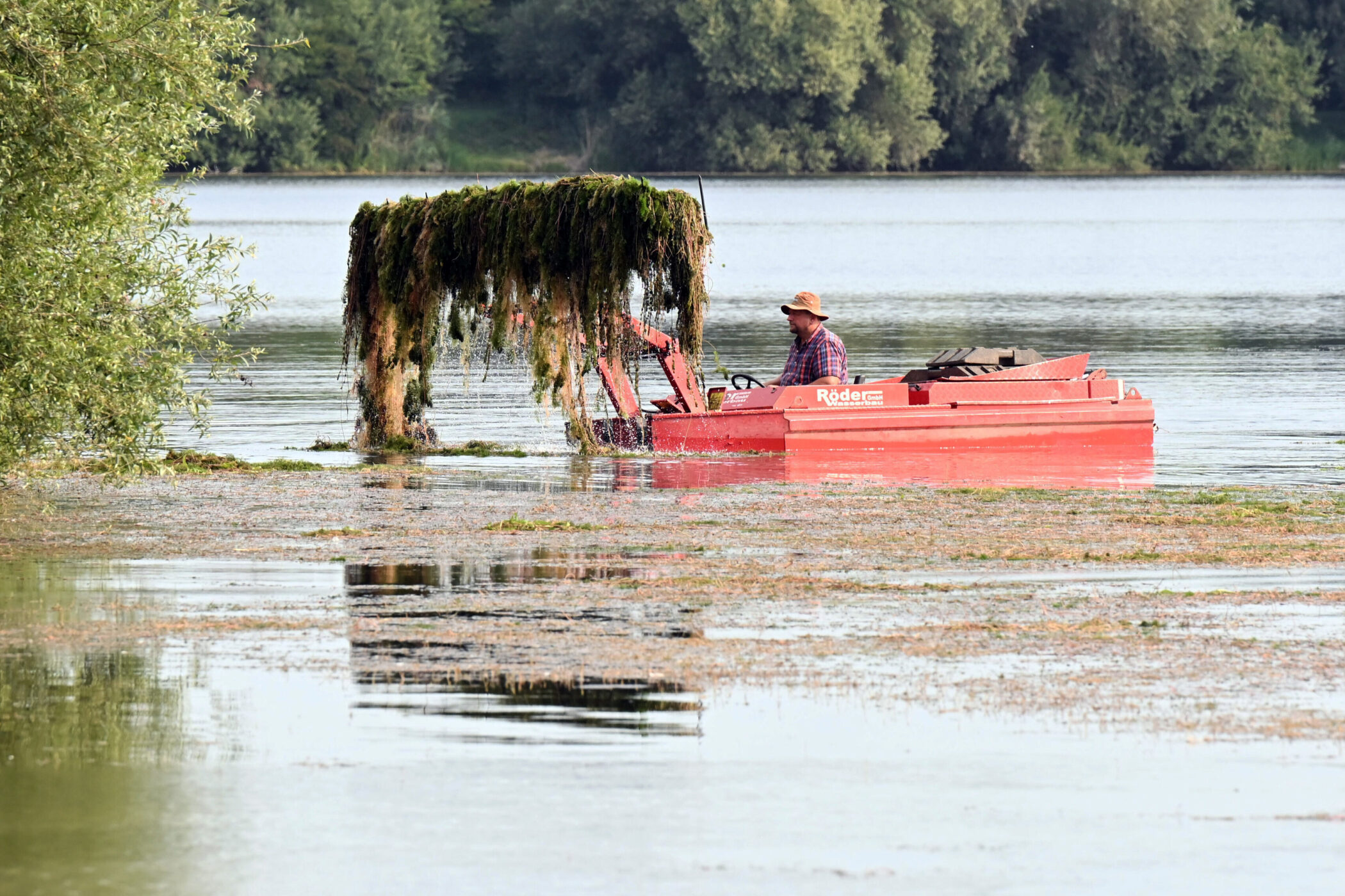 Person auf rotem Boot entfernt Wasserpflanzen aus einem See.
