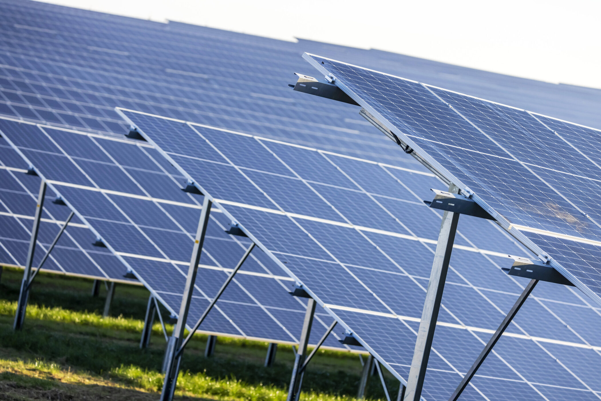 Reihen von Solarpaneelen auf einem Feld.