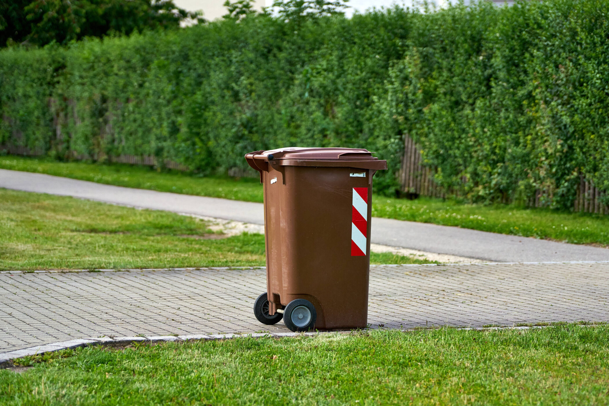 Braune Mülltonne mit Rädern auf einem Gehweg, im Hintergrund grüne Hecke.
