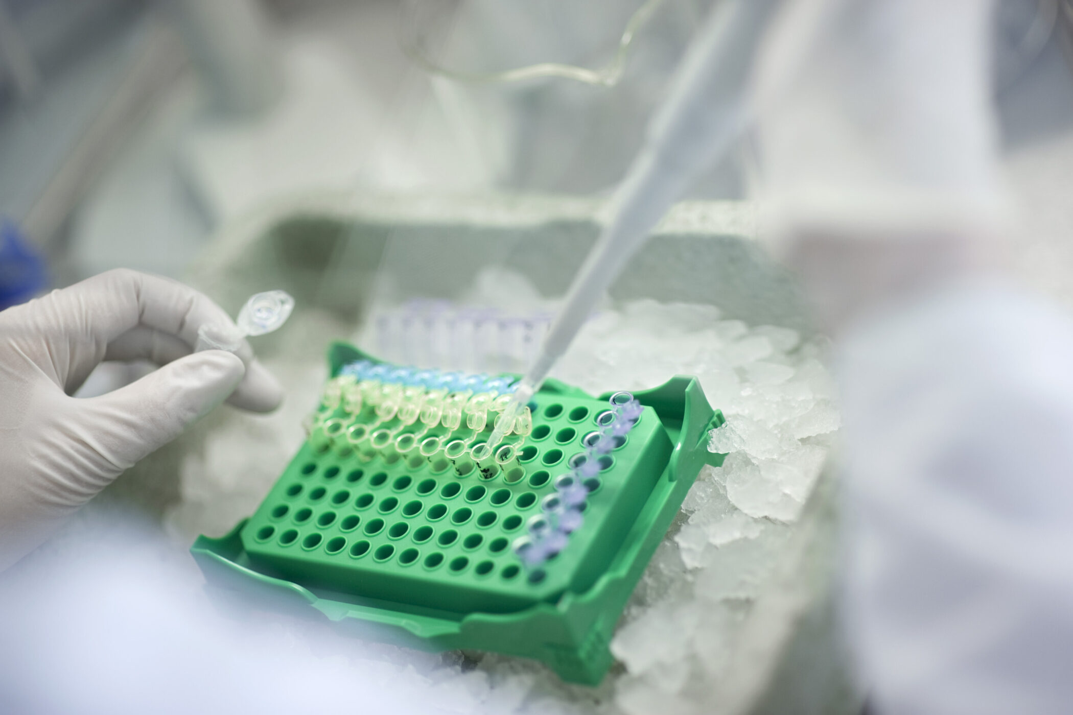 Hand mit Handschuh hält Reagenzglas über grünem Rack mit Pipette.