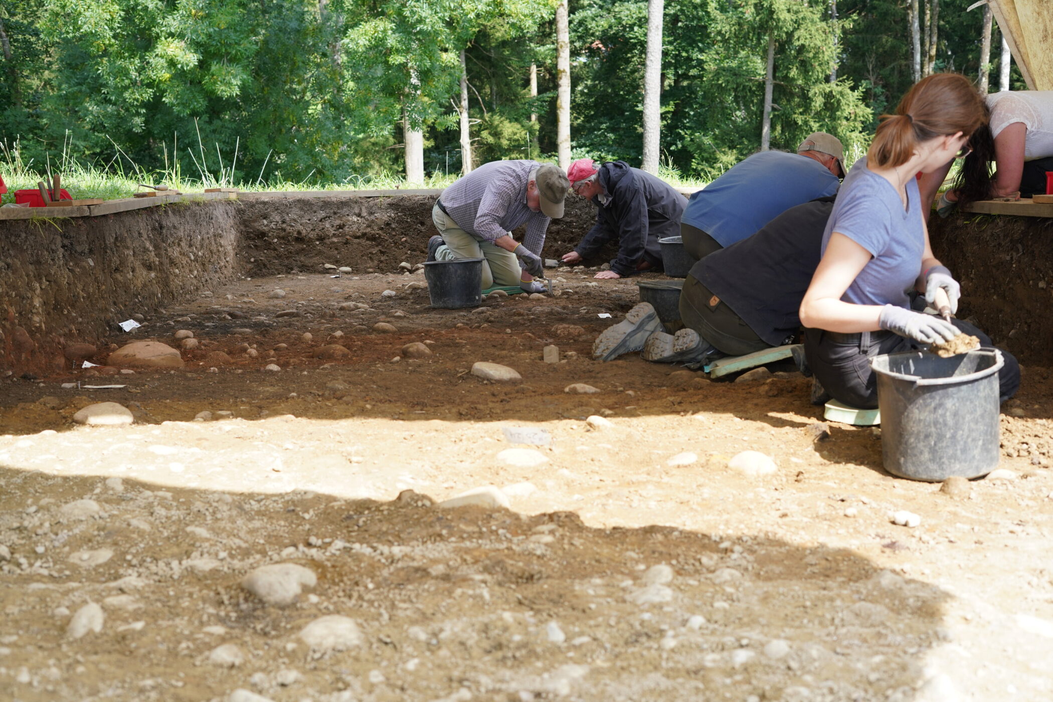Fünf Personen graben in einer Erdgrube, umgeben von Bäumen.