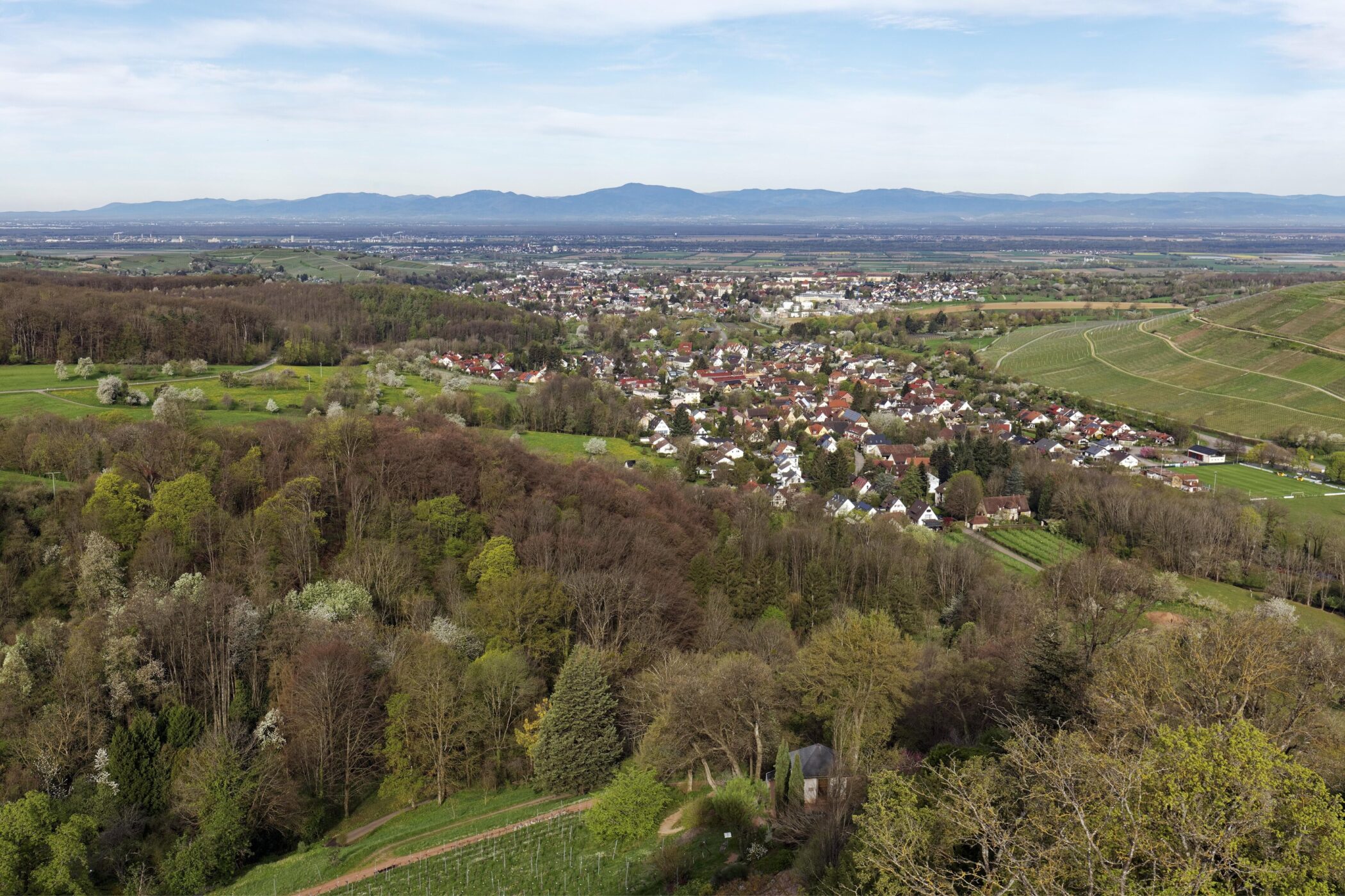 Landschaft mit Wald, Wiesen, einem Dorf und Bergen im Hintergrund.