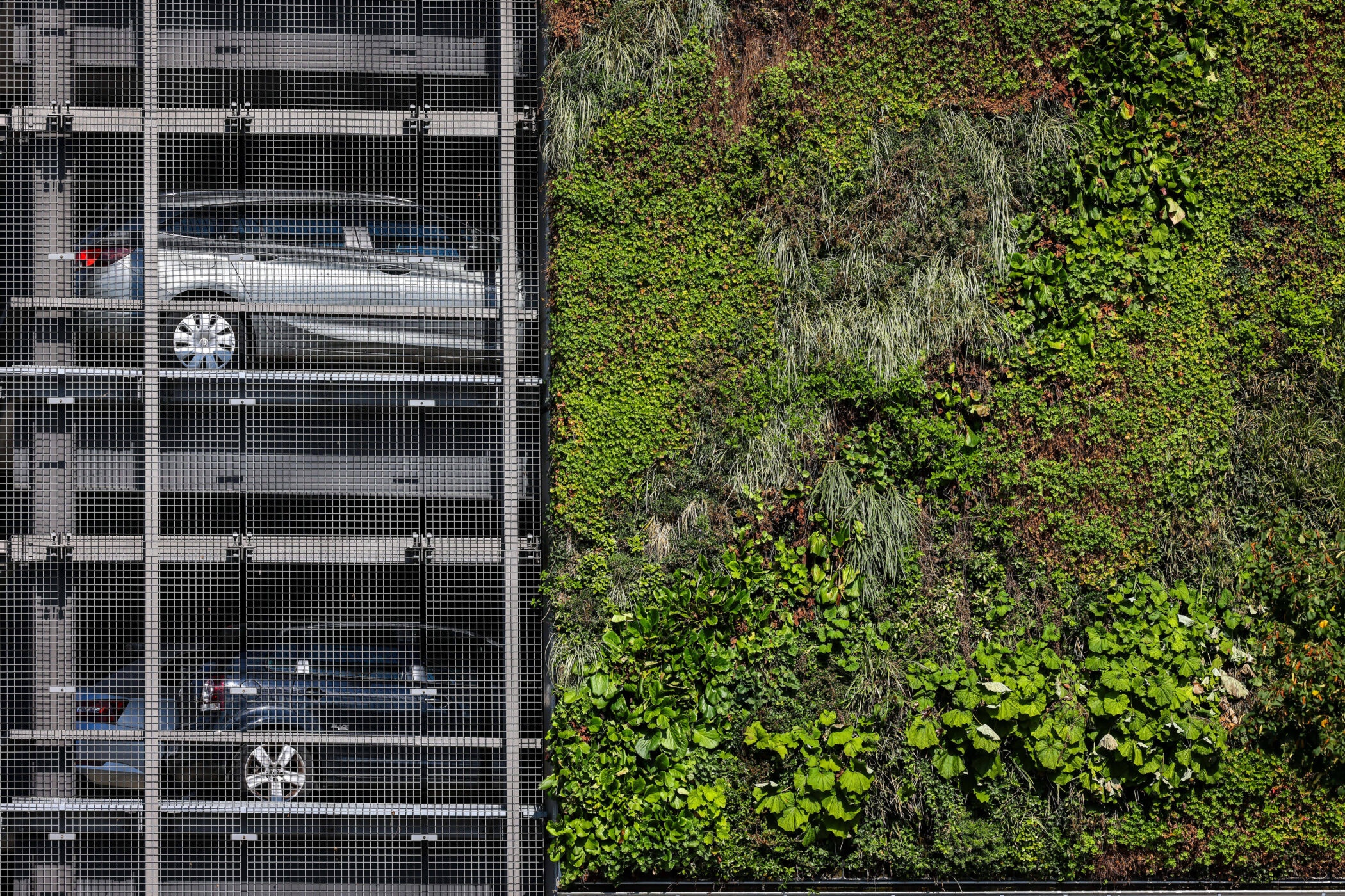Autos in einem Parkhaus neben einer grünen Wand mit Pflanzen.