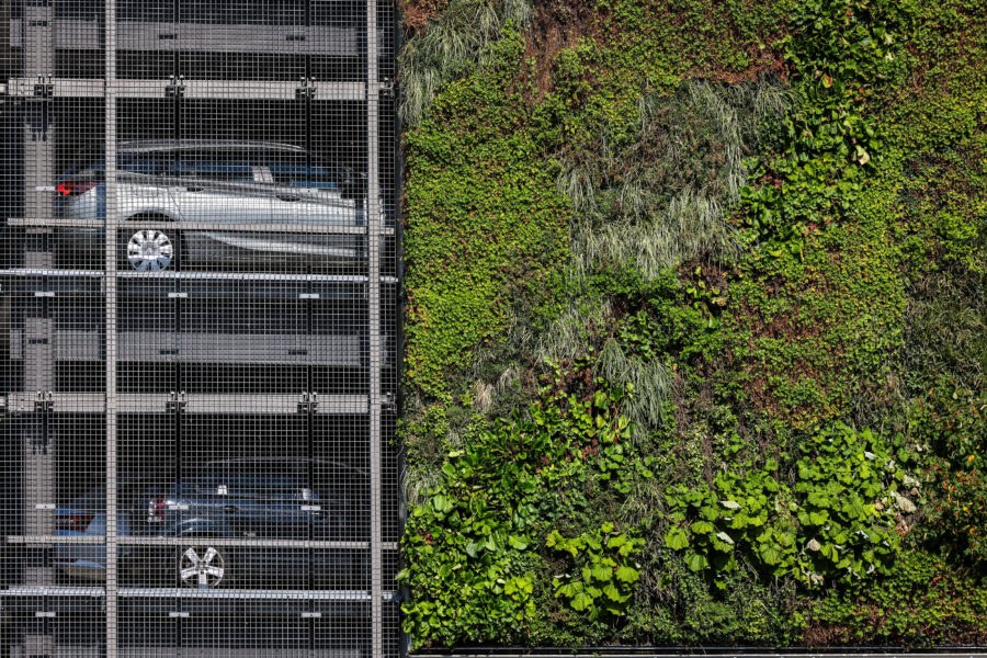 Autos in einem Parkhaus neben einer grünen Wand mit Pflanzen.