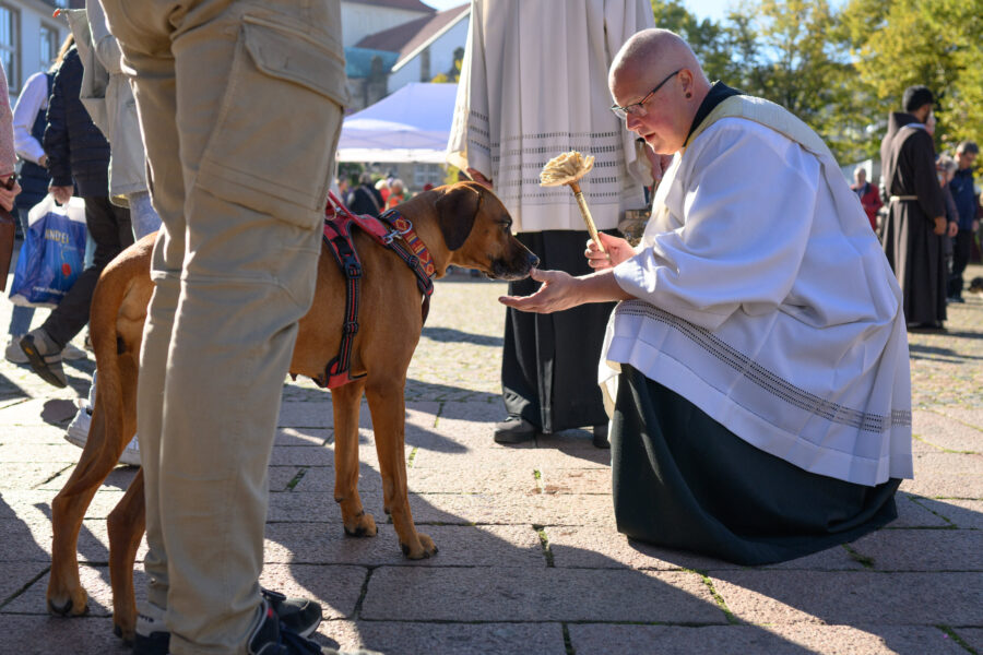 Person in religiöser Kleidung segnet Hund auf öffentlichem Platz.