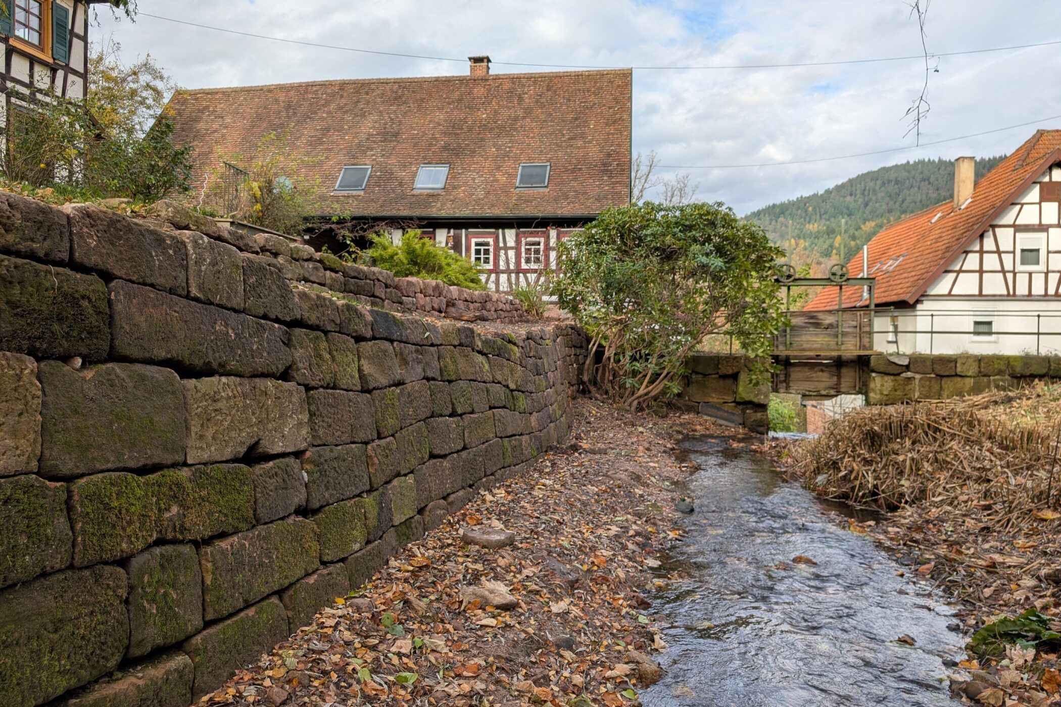 Bach neben Fachwerkhäusern, Steinmauer links, Herbstlaub am Boden.