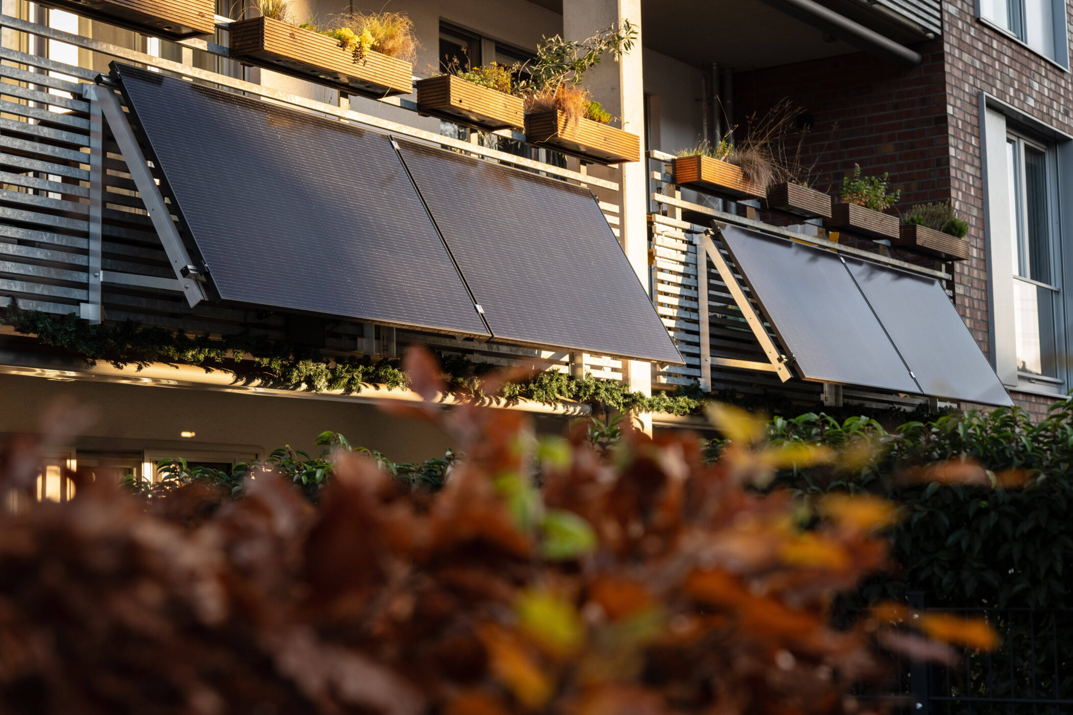 Balkon mit Solarpaneelen und Blumenkästen, im Vordergrund unscharfe Pflanzen.
