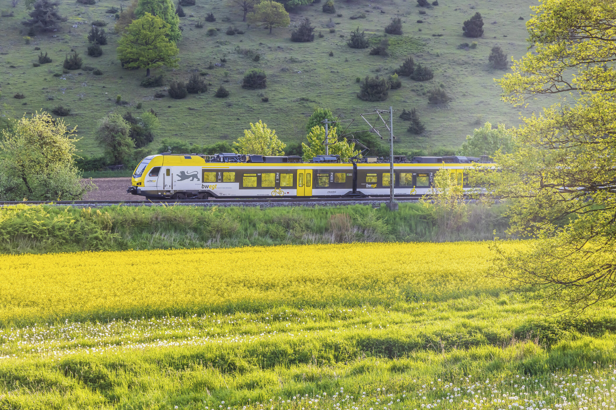 Gelb-weißer Zug fährt durch grüne Landschaft mit Hügeln und Bäumen im Hintergrund.