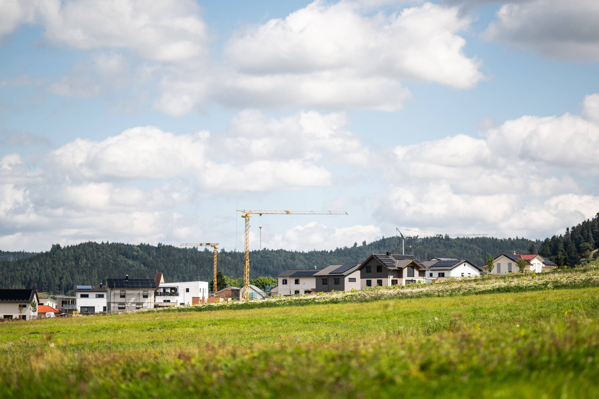 Grüne Wiese, dahinter Häuser und Baukräne, bewölkter Himmel.