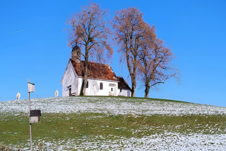 Kirche auf einem Hügel mit zwei Bäumen im Vordergrund und blauem Himmel.