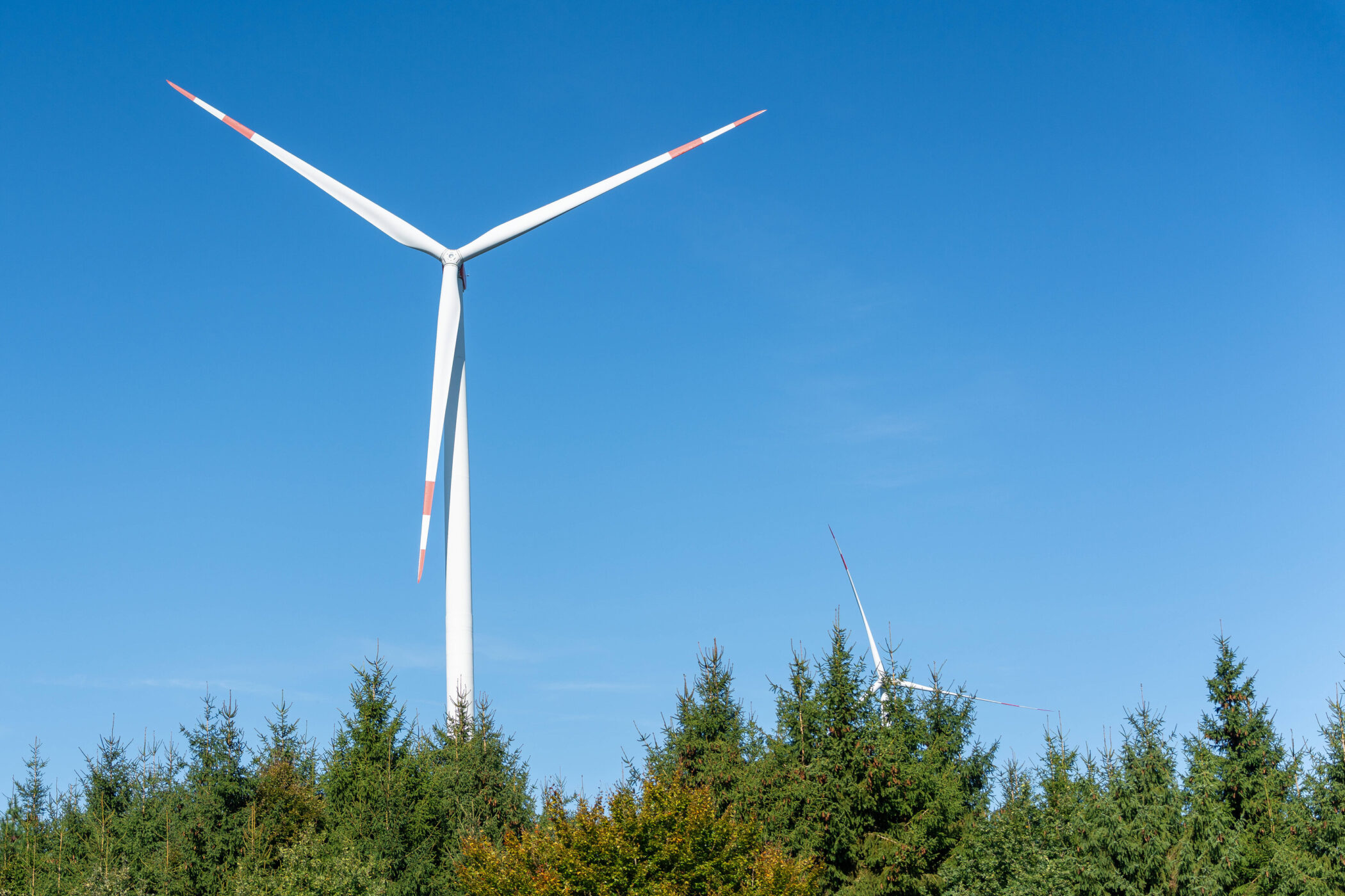 Windrad über Tannenwald vor blauem Himmel.