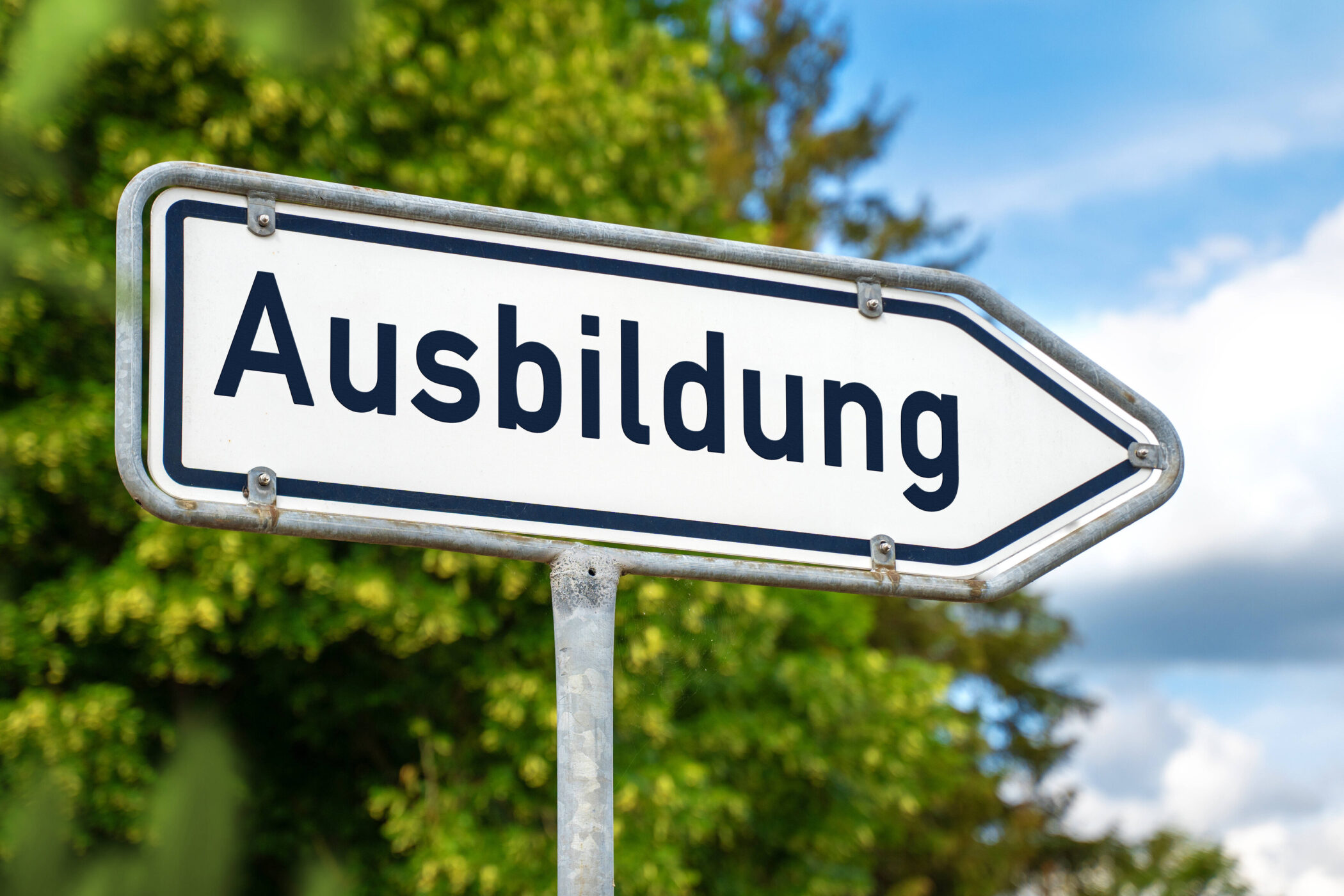 Schild mit der Aufschrift "Ausbildung" vor grünem Hintergrund.
