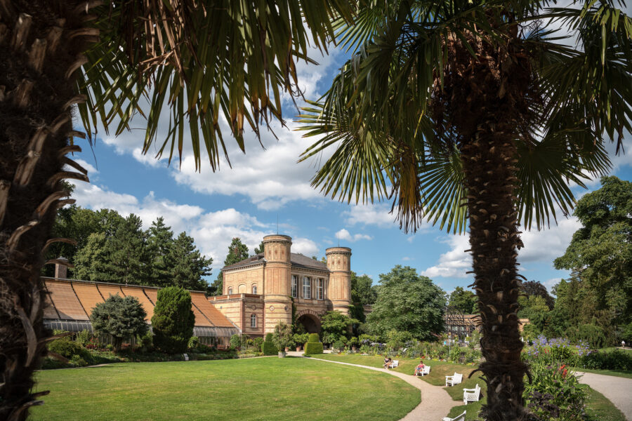 Backsteingebäude mit Türmen, Park, Palmen, Bänke, Spaziergänger, blauer Himmel.