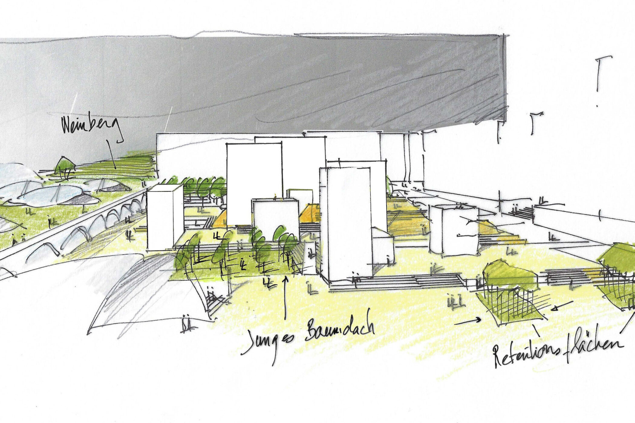 Städtebauliche Skizze mit Gebäuden, Bäumen und Notizen zu Weinberg und Retentionsflächen.