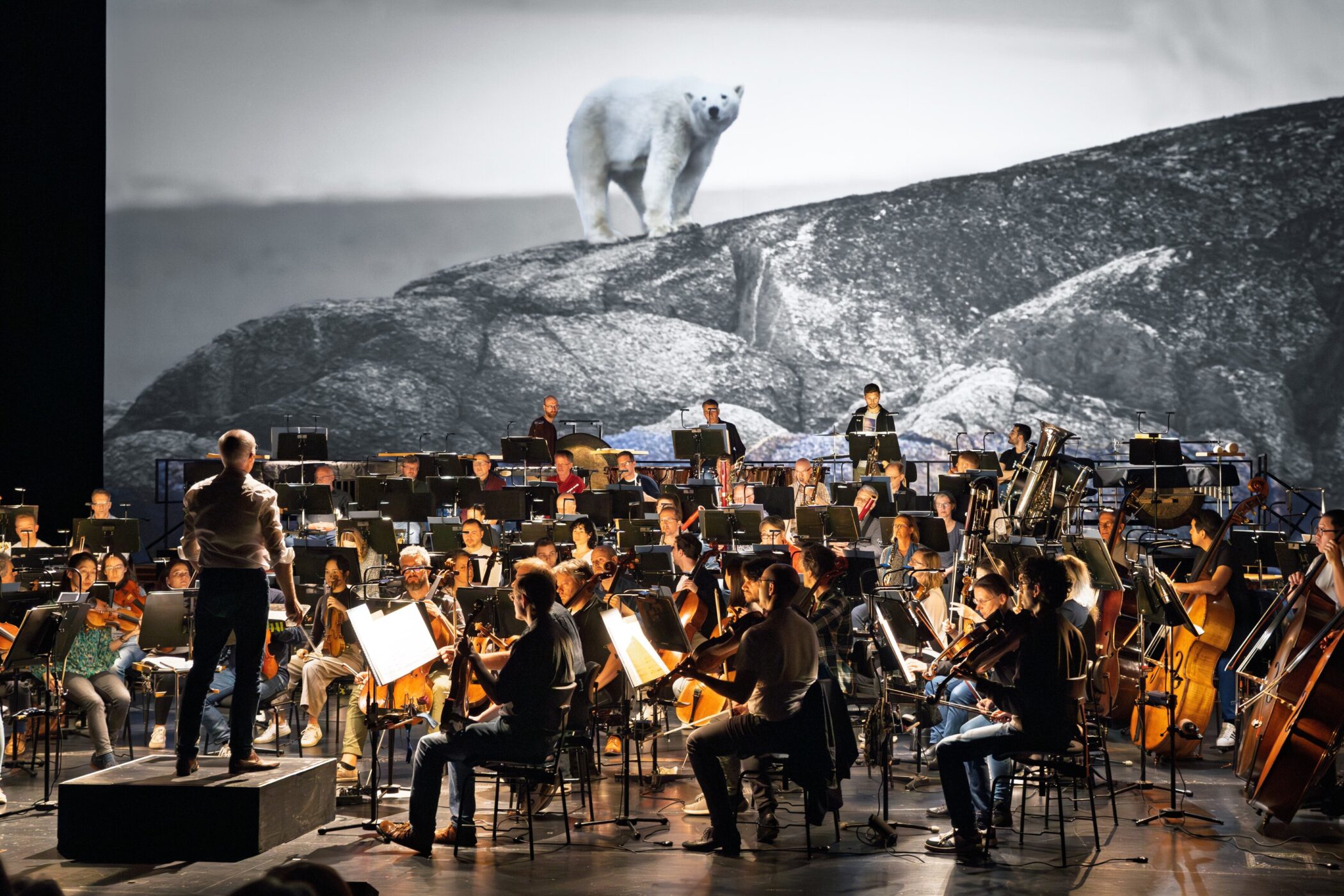 Dirigent und Orchester vor Großbild mit Eisbär.