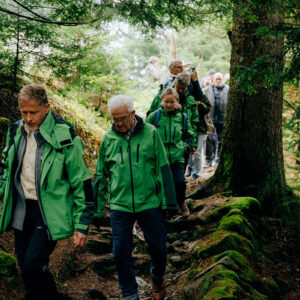 Mehrere Menschen in grünen Jacken wandern durch einen Wald.