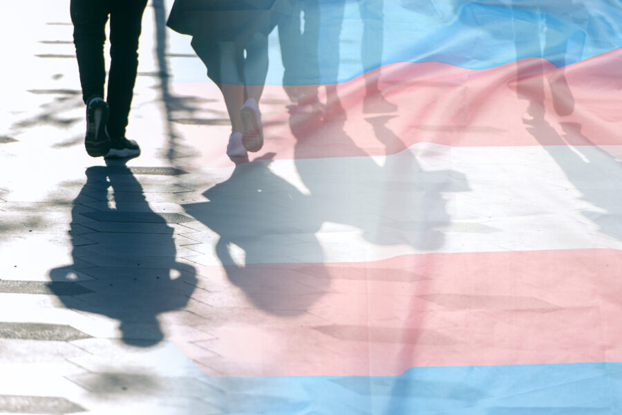 Schatten von gehenden Personen auf Gehweg, überlagert von pink-blau-weißer Flagge.