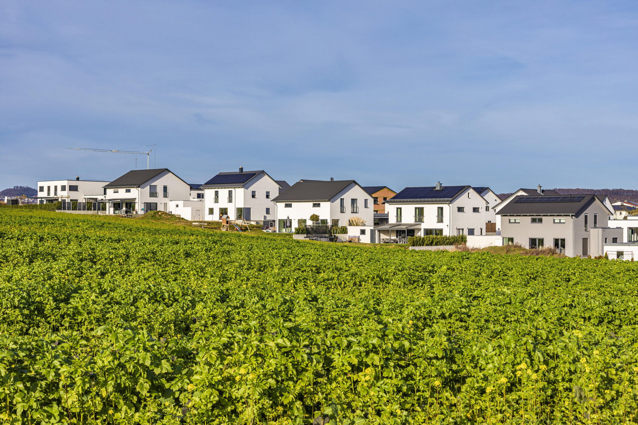 Mehrere weiße Häuser mit dunklen Dächern hinter einem grünen Feld.