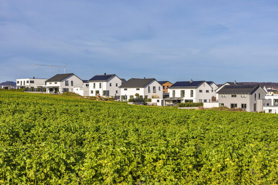 Mehrere weiße Häuser mit dunklen Dächern hinter einem grünen Feld.