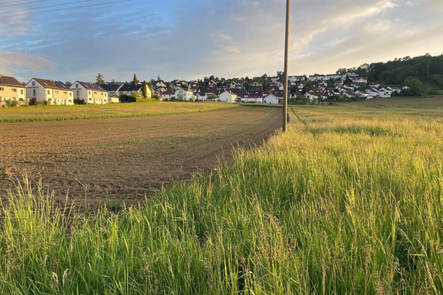 Grüne Wiese und Feld vor Häuserreihe, Strommast in der Mitte, Himmel mit Wolken.