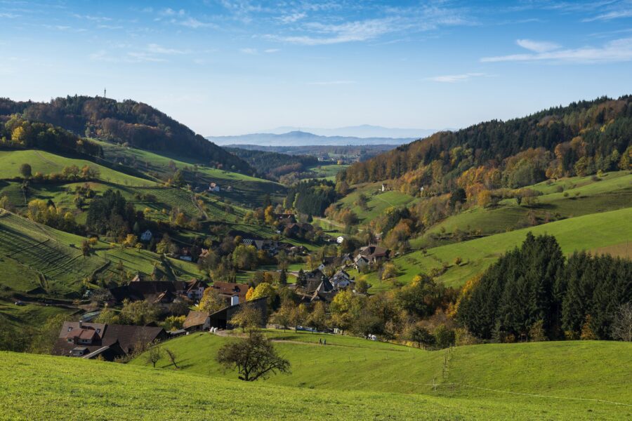 Grüne Hügel mit Bäumen und einigen Gebäuden unter blauem Himmel.