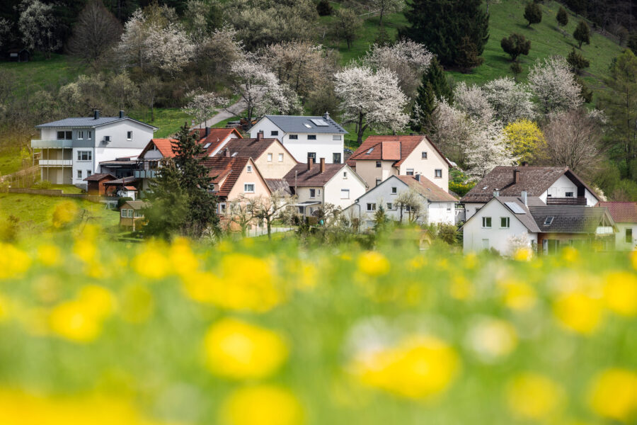 Häusergruppe mit weißen Blütenbäumen im Hintergrund, gelbe Blumen im Vordergrund.