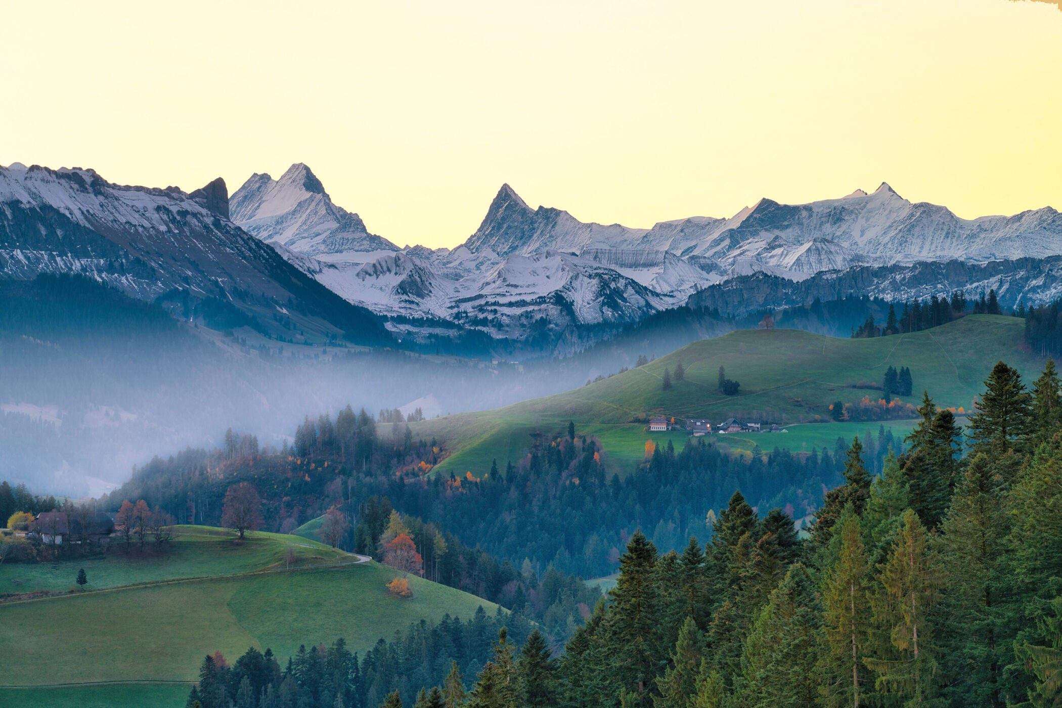 Schneebedeckte Berge hinter grünen Hügeln und bewaldeten Flächen im Abendlicht.