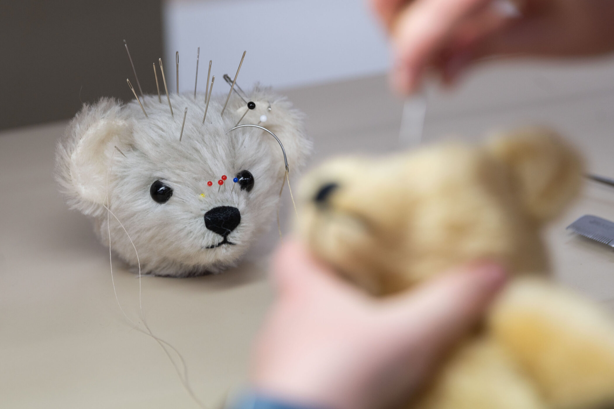Zwei Hände halten einen Teddybär mit gelbem Etikett "Steiff KNOPF IM OHR".