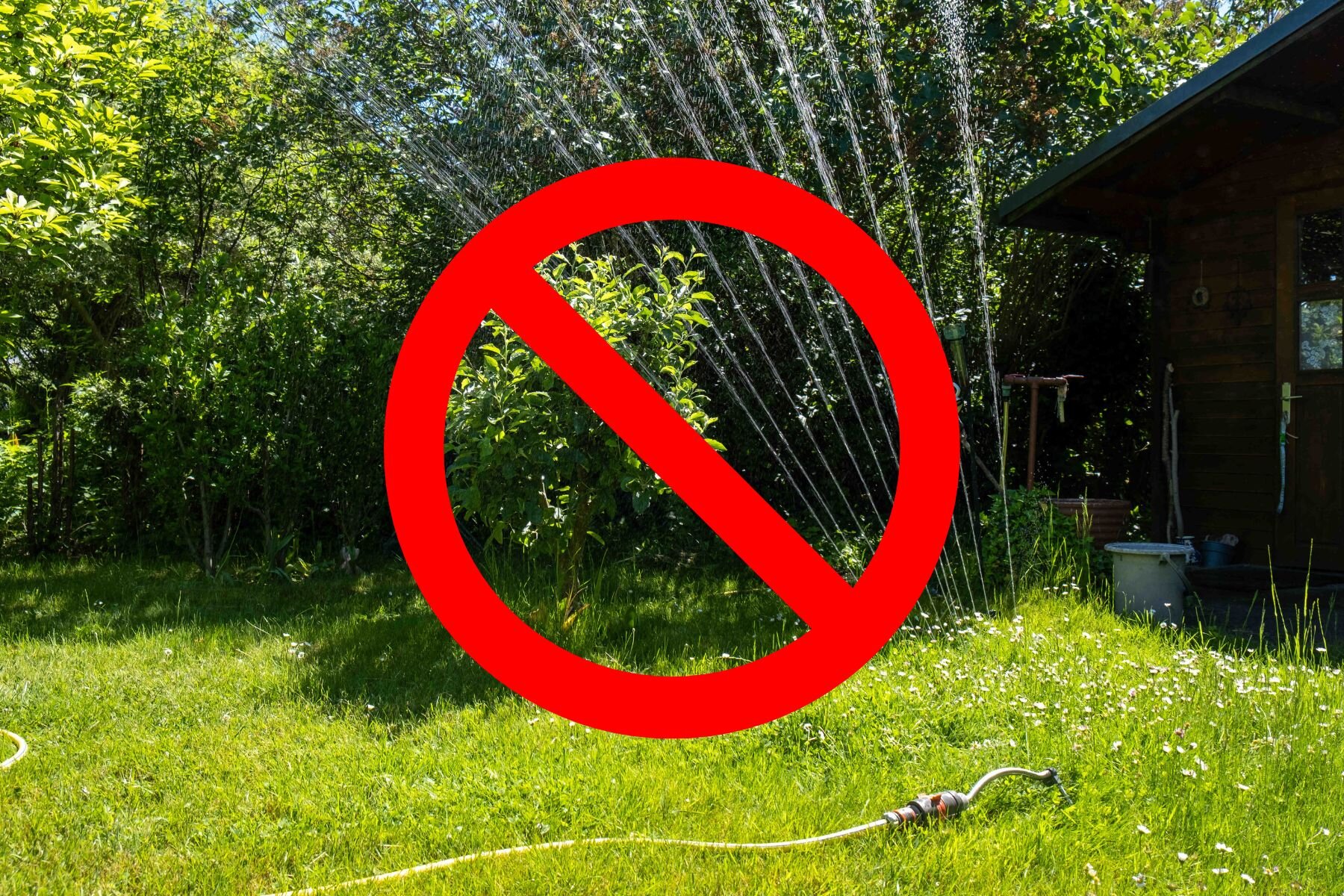 Roter Verbotskreis über sprühendem Rasenbewässerer im Garten.
