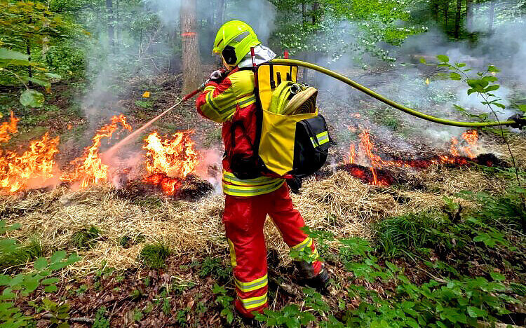 Eine Person in Feuerwehrkleidung löscht ein Feuer im Wald.