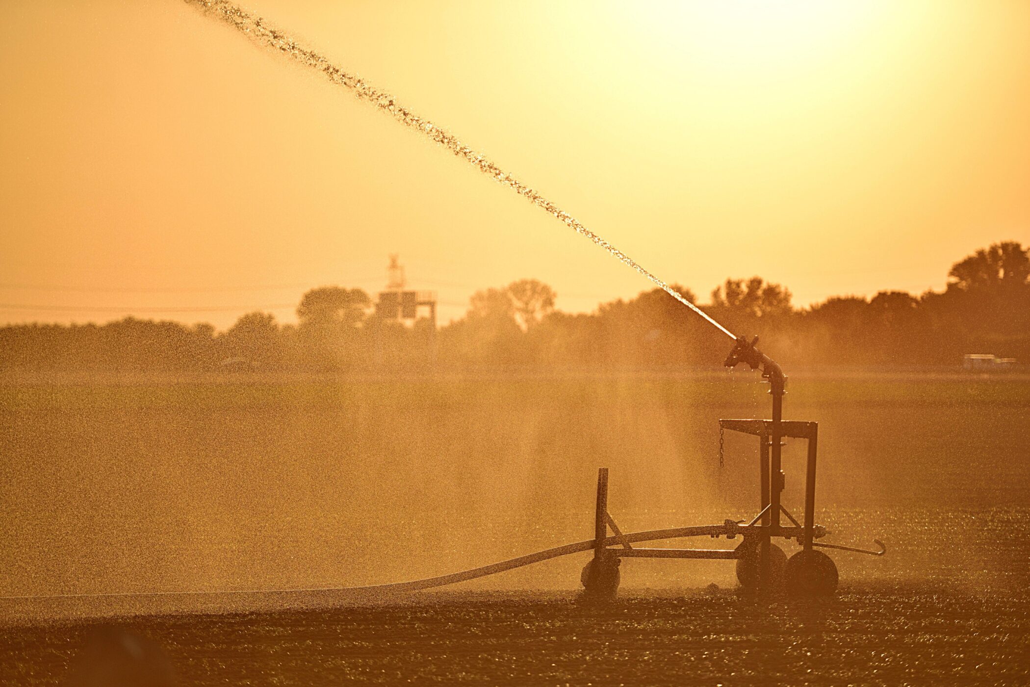 Wasserstrahl aus Feldsprinkler bei Sonnenuntergang auf einem Feld.