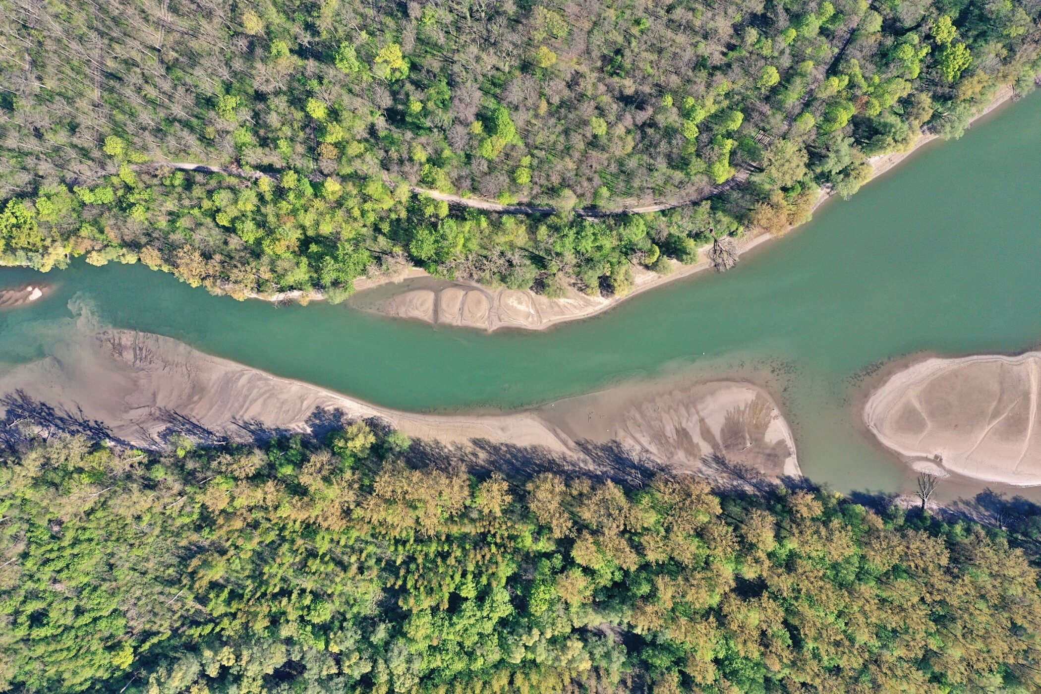 Fluss mit Sandbänken, umgeben von dichtem Wald aus der Vogelperspektive.