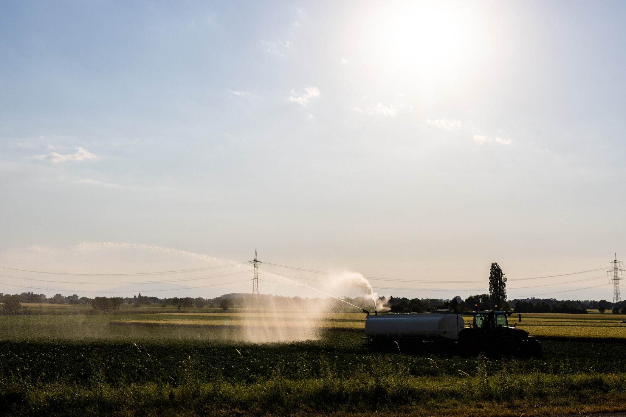 Traktor mit Tank bewässert ein Feld bei Sonnenschein, Stromleitungen im Hintergrund.