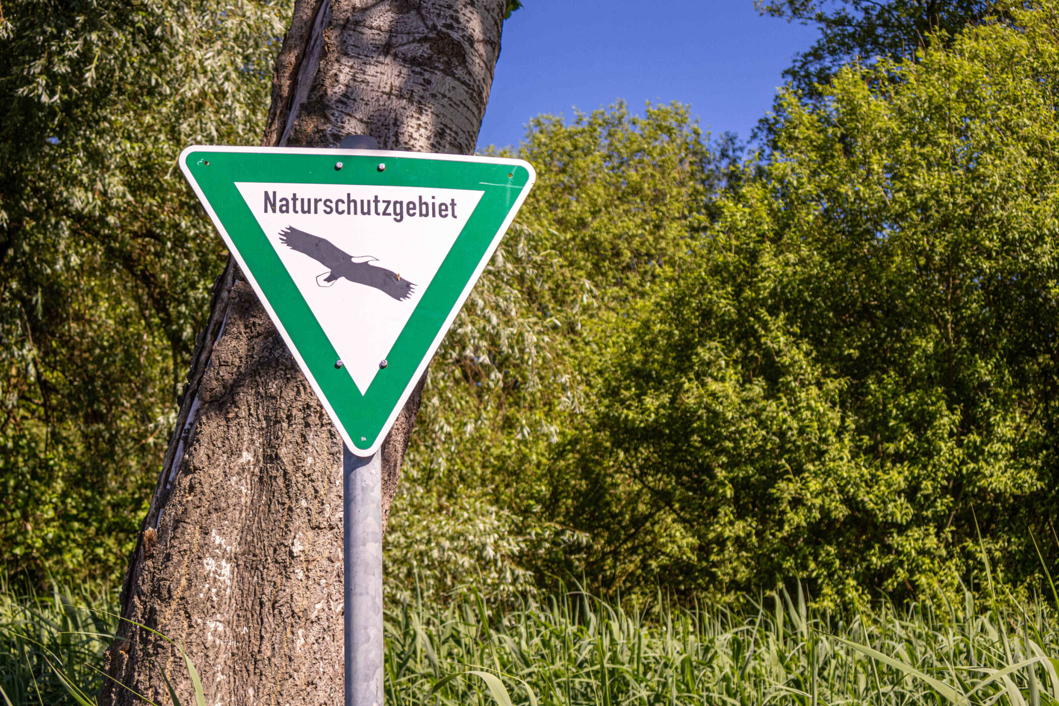 Baumschild mit Aufschrift "Naturschutzgebiet" und Adler, umgeben von Bäumen.