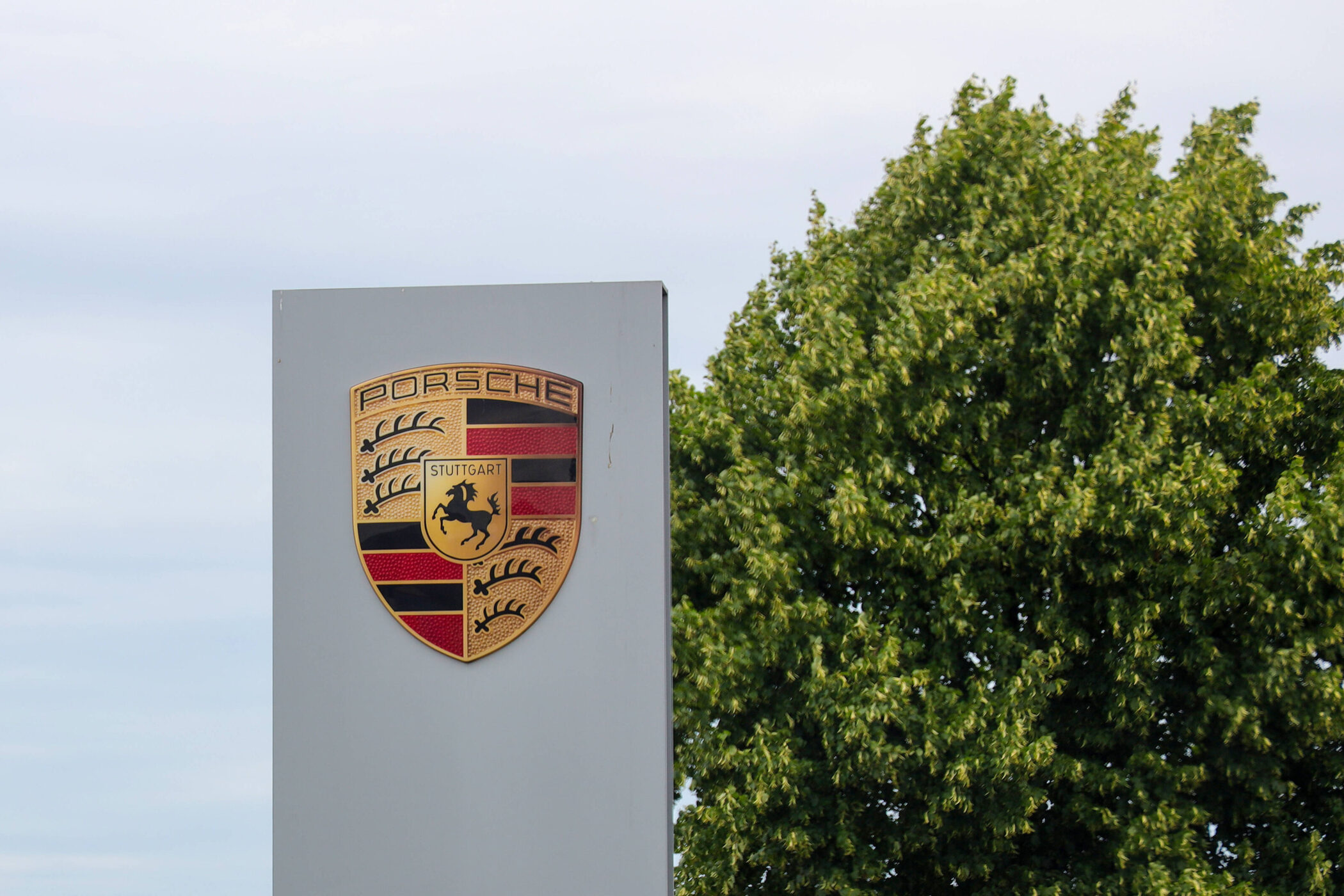 Porsche-Logo auf grauem Schild, Baum im Hintergrund.