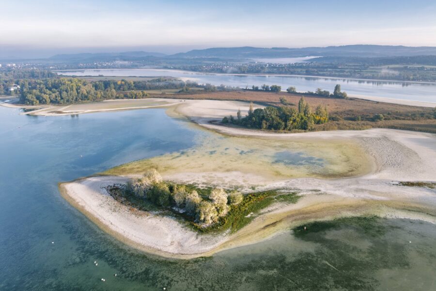 Eine Insel im See mit Bäumen und Sandbänken, umgeben von klarem Wasser.