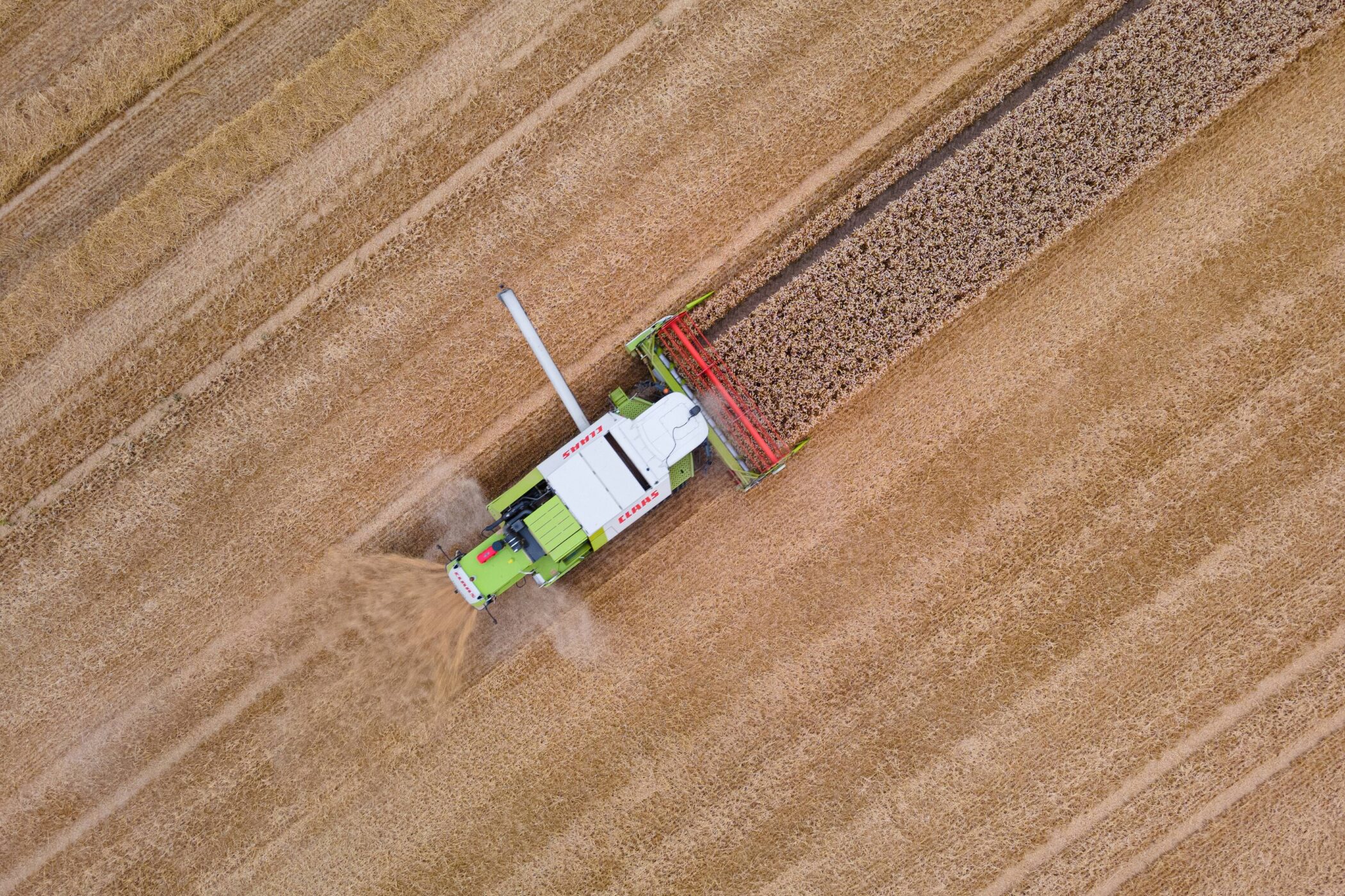 Mähdrescher erntet Getreide auf einem großen Feld aus der Vogelperspektive.